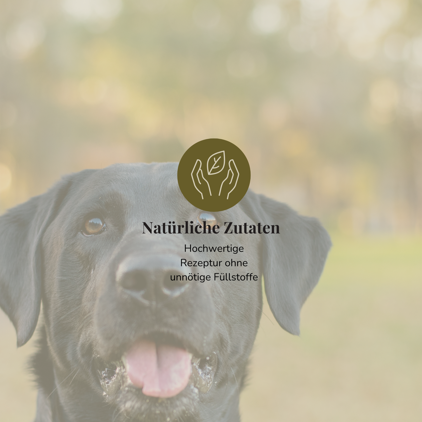 14kg Redula Adult Labrador Hundefutter (30 Tage Geld zurück)