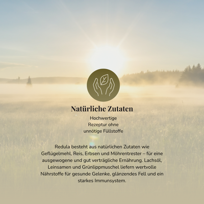 14kg Redula Adult Labrador