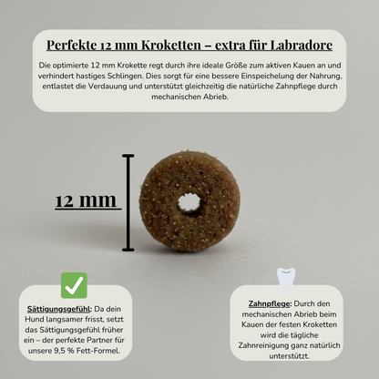Redula Probierpaket – Gegen Hunger, Gewicht und Gelenkstress