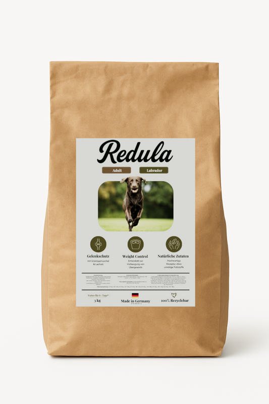 3kg Redula Adult Labrador
