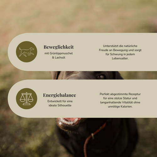 14kg Redula Hundefutter Weight Control & Mobility (30 Tage Geld zurück)